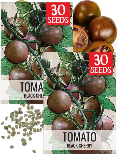 Vista 12 de Seed Needs Semillas de tomate para plantar tomates indeterminados de carne de res verdaderos, reliquia sin OMG y semillas de vegetales sin tratar