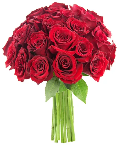 Vista 69 de KaBloom - Rosas arcoíris (media docena)- Flores frescas para cumpleaños, San Valentín y Día de la Madre