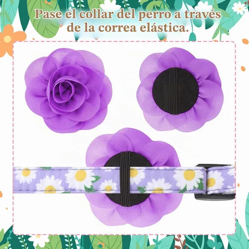 Vista 4 de Paquete de 4 collares de flores para perros pequeños y hembras