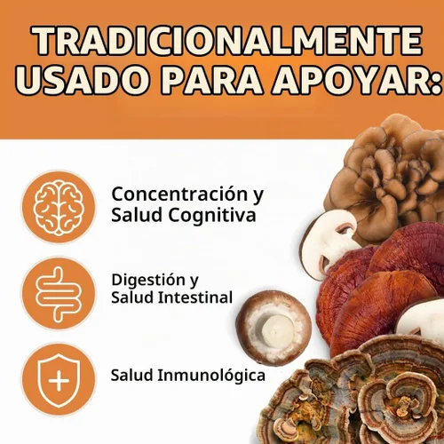 Vista 2 de Force Factor Cápsulas modernas de hongos, suplemento de hongos con melena de león, cola de pavo y cordyceps para apoyar la energía
