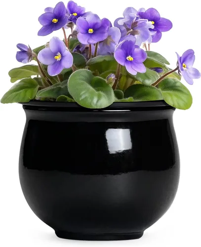 Vista 28 de Macetas de riego automático de 6 pulgadas para plantas de interior, macetas de cerámica violeta africana con maceta interior absorbente, maceta