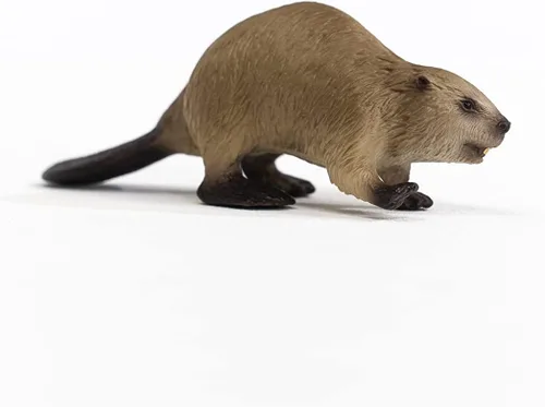 Vista 5 de Schleich Wild Life, North American Woodland Juguetes de animales salvajes para niños, figura de juguete de castor, a partir de 3 años