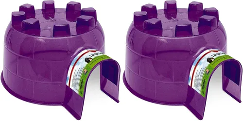 Vista 6 de Kaytee Igloo Habitat Escondite para hámsters, jerbos, ratas y otros animales pequeños, mini
