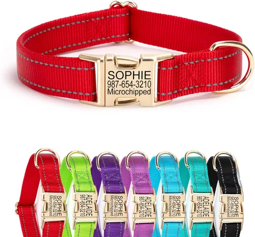 Vista 25 de Collar de perro de nailon reflectante personalizado con etiqueta de nombre Collares de perro con hebilla dorada grabados personalizados Collar