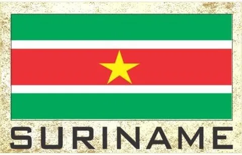 Vista 14 de Imanes para frigorífico con bandera - Americas Grp 2 (paquete de 1, País: Paraguay)