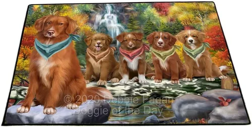 Vista 10 de Doggie of the Day Nova Scotia Duck Tolling Retriever Dogs Floor Mat - 4th of July Independence Day - Best Dog Doormat - Protector Decor - Unique