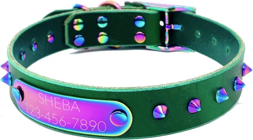 Vista 20 de Collar de perro de cuero con brida hecha a mano, grabado arco iris de acero inoxidable (negro)