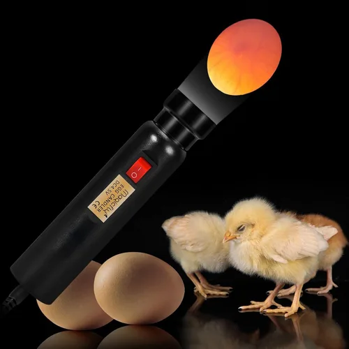 Vista 5 de Probador de huevos con luz LED Magicfly.