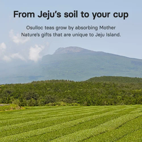 Vista 8 de OSULLOC Lavanda de manzanilla, mezcla calmante y sin cafeína para relajación y apoyo calmante, 20 unidades, 1.27 onzas