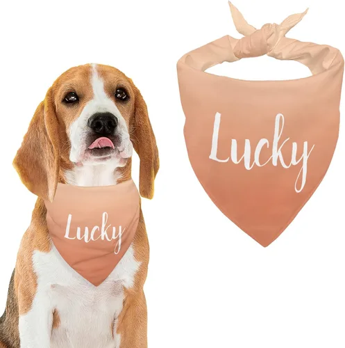 Vista 18 de Bandana personalizada para perro con nombre de poliéster, bandana personalizada para perro, triángulo, bufanda personalizada para mascotas