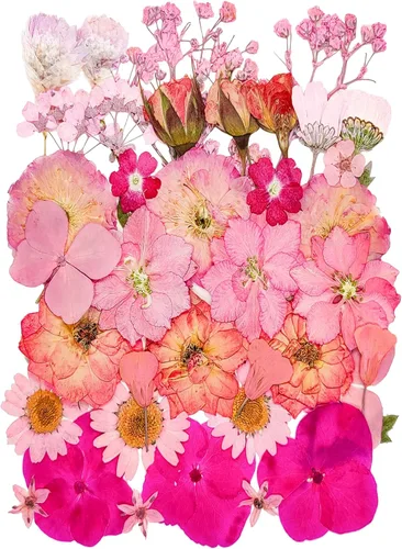 Vista 12 de 14 Tipos 37 piezas Flores Azules Secas Prensadas para Moldes de Resina, YouthBro Flores Secas Naturales Prensadas para Manualidades de Arte DIY