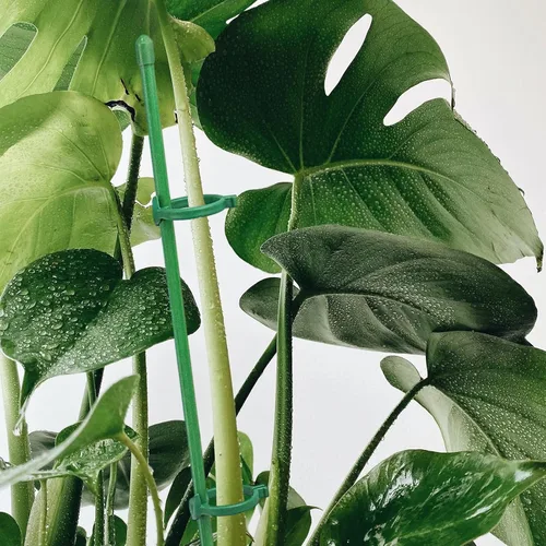 Vista 7 de 20 estacas de soporte para plantas, altura ajustable, para jardín, con 40 clips para plantas y 10 tubos de conexión para orquídeas, rosas, peonías