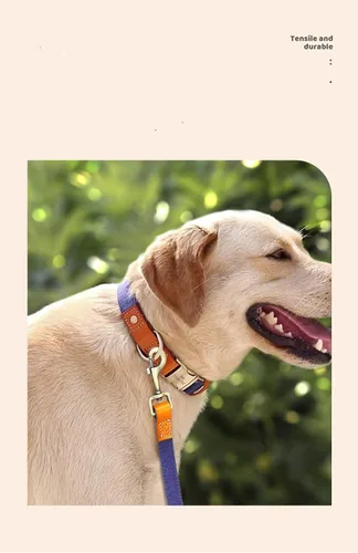 Vista 6 de Collar de perro personalizado para perros pequeños, medianos y grandes, collar de perro con hebilla de metal, collar de perro de cuero personalizado