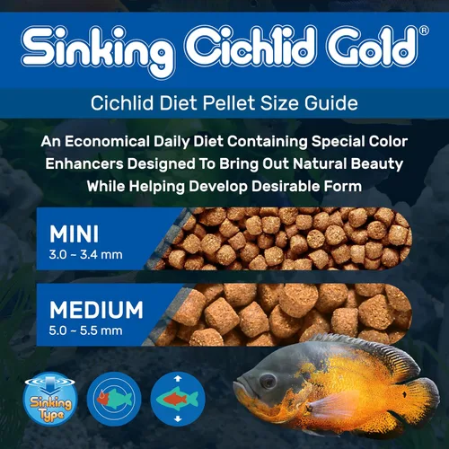 Vista 2 de Hikari Pellets de oro cíclidos de hundimiento de 2.2 libras para mascotas, mini