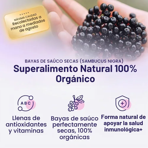 Vista 3 de USDA - Bayas de saúco secas orgánicas, 1 libra a granel, totalmente naturales, libres de químicos, sin OMG, refuerzo de apoyo del sistema
