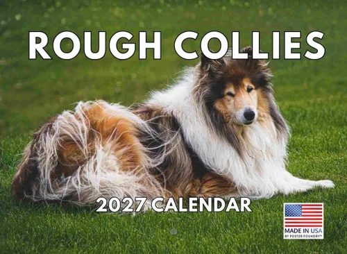Vista 64 de Calendario mensual de pared Airedale Terrier Dog 2027