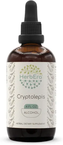 Vista 6 de HerbEra Cryptolepis - Tintura de extracto de hierbas con alcohol, raíz seca superconcentrada de Cryptolepis silvestre (Cryptolepis Sanguinolenta)