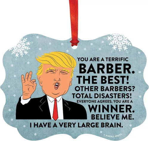 Vista 101 de Andaz Press Presidente Donald Trump Fancy Frame Recuerdo Adorno de Navidad Regalo de broma, excelente contador, 1 paquete, divertidas ideas