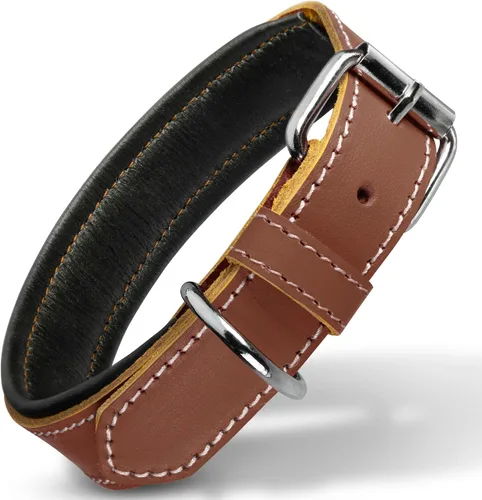 Vista 9 de Filbert Collar de cuero para perro, collar de cuero genuino para perros pequeños, acolchado de lujo, fuerte, ajustable para todas las razas, hebilla