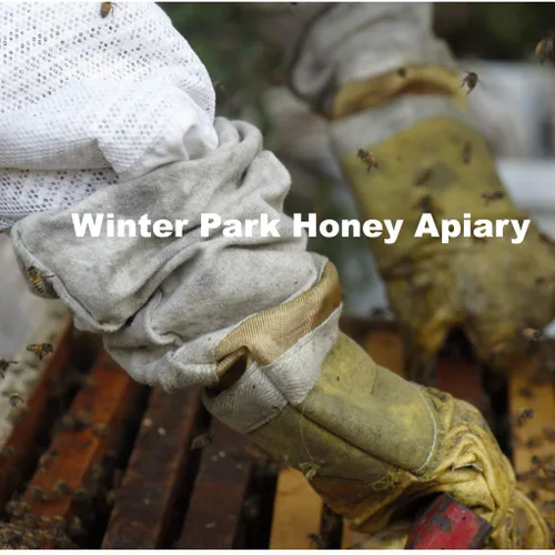 Vista 3 de Houston TX Allergy Honey Local Bee Honey (puro crudo sin filtrar)