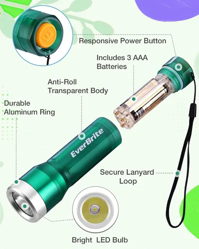 Vista 8 de EverBrite Mini linterna, luz LED con 3 modos, 3 pilas AAA incluidas, linterna pequeña resistente al agua para emergencias y campamento, verde