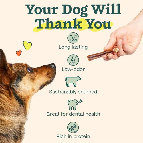 Vista 4 de WOOF Bully Sticks Golosinas para Perros - Palitos Masticables para Perros - Golosinas Masticables para Perros de Larga Duración - Hechos con Carne