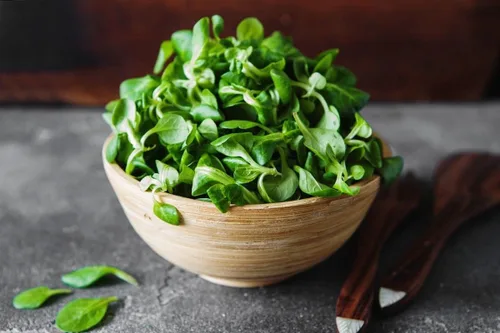 Vista 4 de Semillas CornSalad Cordero Lechuga de Cordero Vegetal de la reliquia para plantar sin OMG