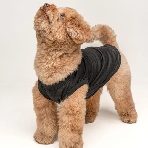 Vista 2 de Camiseta Proud Pup of The Graduate Dog Perros sin mangas Accesorio de graduación Clase de 2025 2026 2027 2028 Negro, XS (737)