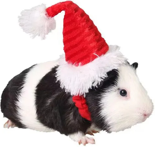 Vista 7 de Juego de gorro y bufanda de Navidad para perros pequeños, cachorros, gatos, 2 piezas de sombrero de Santa ajustable y bufanda de punto, disfraz
