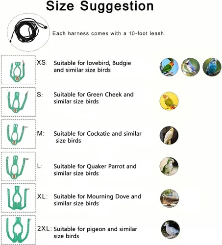 Vista 3 de Juego de arnés ajustable y correa para pájaros pequeños, apto para periquitos, conures, cacatúas, mejillas verdes, loros cuáqueros (verde, XS) 6350-6