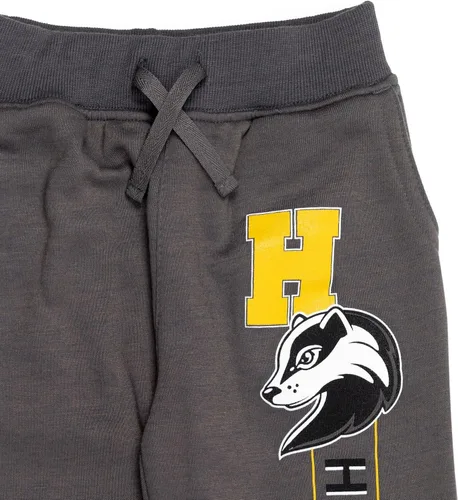 Vista 6 de Harry Potter Gryffindor Slytherin Hufflepuff Ravenclaw - Paquete de 2 pantalones deportivos de forro polar para niños pequeños a grandes