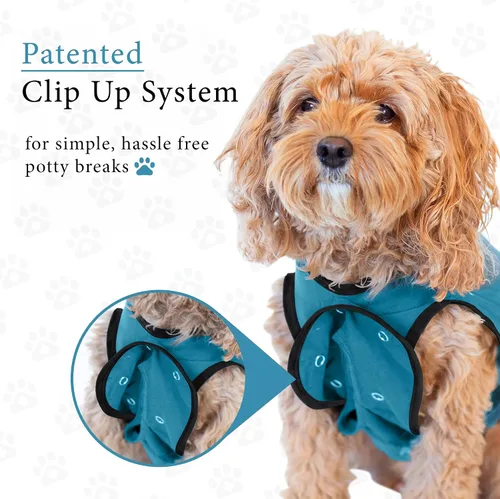 Vista 5 de Traje de Recuperación Quirúrgica BellyGuard para Perros, Mameluco para Perros para Cuidado Post-Operatorio, Ropa de Recuperación para Perros Hembra
