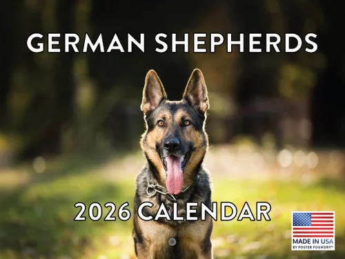 Vista 111 de Calendario mensual de pared Airedale Terrier Dog 2027 rojo (Airedale Terrier)