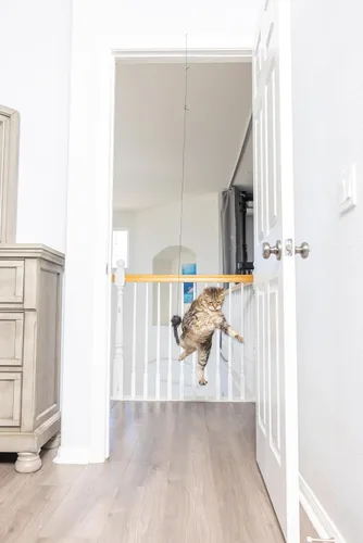 Vista 3 de SPOT A-Door-Able - Juguete interactivo para gatos con sonajero colgante y hierba gatera, entretiene a los gatos durante horas, disfruta