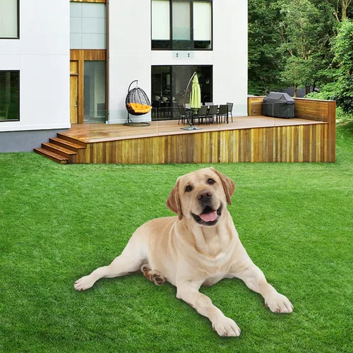 Vista 9 de ZGR HOME&GARDEN césped artificial de primera calidad, césped realista, césped sintético, césped grueso para mascotas, para interiores y exteriores