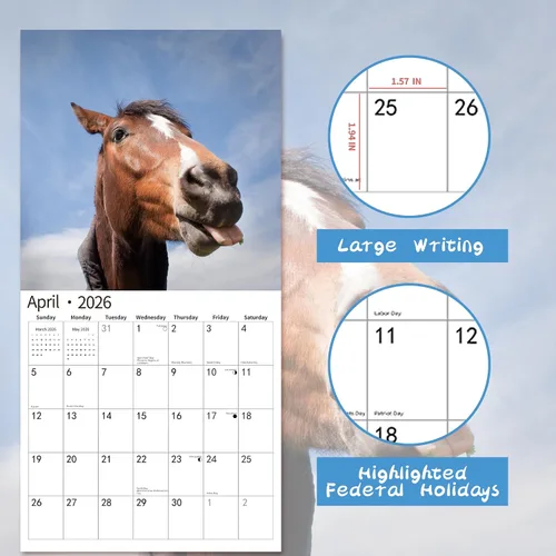 Vista 3 de Calendario de pared 2026, Calendario divertido 2026, noviembre de 2025 - diciembre de 2026, calendario de pared con memes divertidos de animales, 12