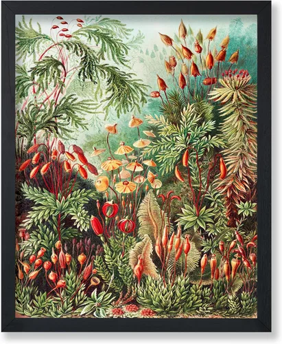 Vista 71 de Poster Master Póster clásico, impresión expresionista vintage, regalo para artistas, amigos, animales en un recinto, horquilla, abstracto, cubismo