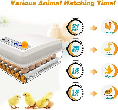 Vista 6 de Incubadora de huevos con capacidad para 120 huevos LED de giro automático de huevos y control de temperatura, ventilación automática, incubadoras