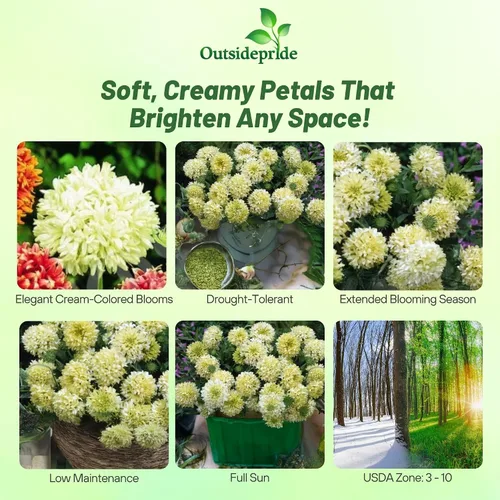 Vista 2 de Outsidepride Gaillardia Pulchella Sundance - Semillas de manta de crema para plantar, 1000 piezas de semillas de flores anuales, tolerantes al calor