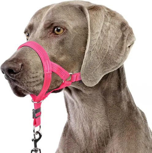 Vista 11 de BARKLESS Collar resistente sin tirones para perros medianos y grandes, suave y reflectante con enlace de seguridad, correa de bozal de entrenamiento