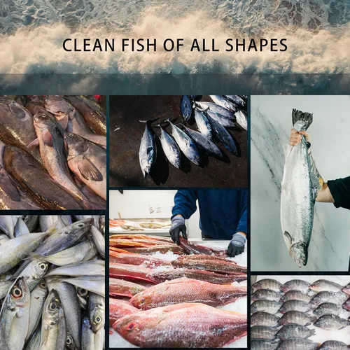 Vista 5 de Potente escalador eléctrico de pescado, removedor de pescado inalámbrico para quitar fácilmente las escamas de pescado sin problemas ni desorden