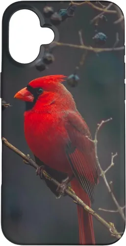 Vista 23 de Funda para iPhone 16 Cardinal Bird