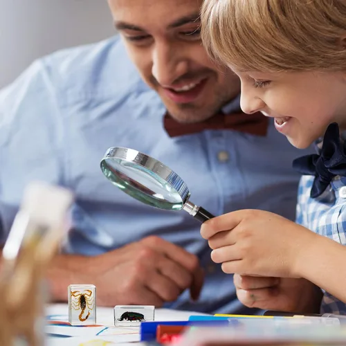 Vista 7 de 12 piezas de especímenes de insectos para niños, kit de colección