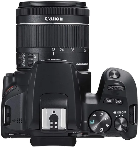 Vista 5 de Canon Cámara DSLR EOS Rebel SL3 con lente de 0.709-2.165 in (negro) (3453C002) + tarjeta de memoria de 64 GB + kit de filtro de color + estuche +
