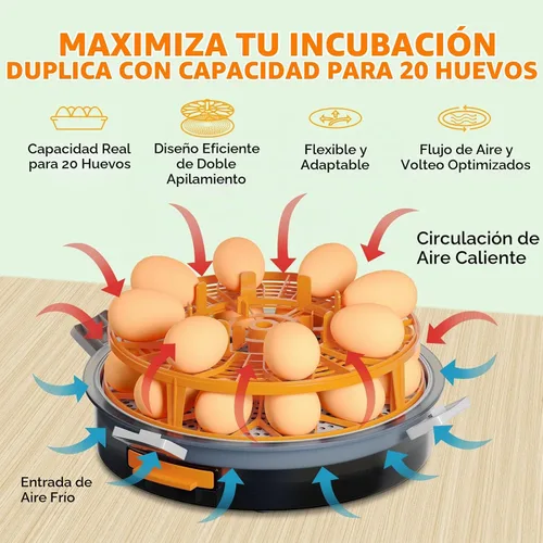 Vista 3 de Incubadora de huevos de capacidad 12-20 con torneado automático y vela