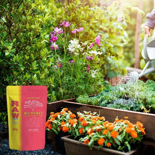 Vista 4 de RAW Microbes Bloom 2lb - Inoculante microbiano beneficioso para plantas con flores - Aumenta la absorción de nutrientes y mejora el desarrollo