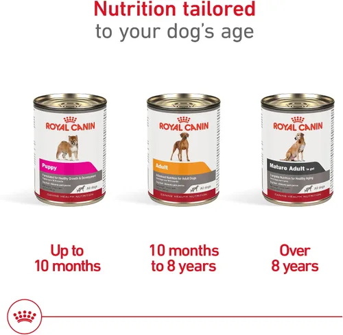 Vista 3 de Royal Canin Canine Health Nutrition Alimento para perros adultos en gel, 13.5 onzas (paquete de 6)