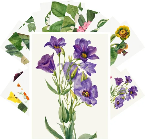 Vista 11 de PIXILUV Johann - Postales vintage (24 unidades), diseño de flores salvajes, jardín, aun vida, arte de pintura de museo antiguo, reimpresión