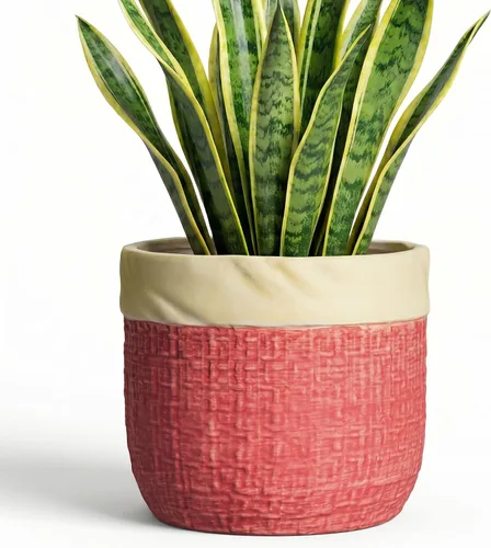 Vista 15 de Macetas de cerámica para plantas, maceta de 6 pulgadas para plantas suculentas de interior, macetas redondas con orificio de drenaje, macetas Azul