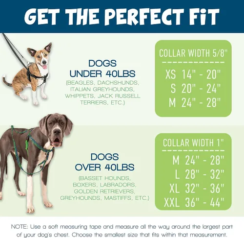Vista 8 de 2 Hounds Design Freedom - Arnés para perro sin tirones, arnés ajustable, fácil de caminar y control cómodo, se adapta a perros pequeños, medianos